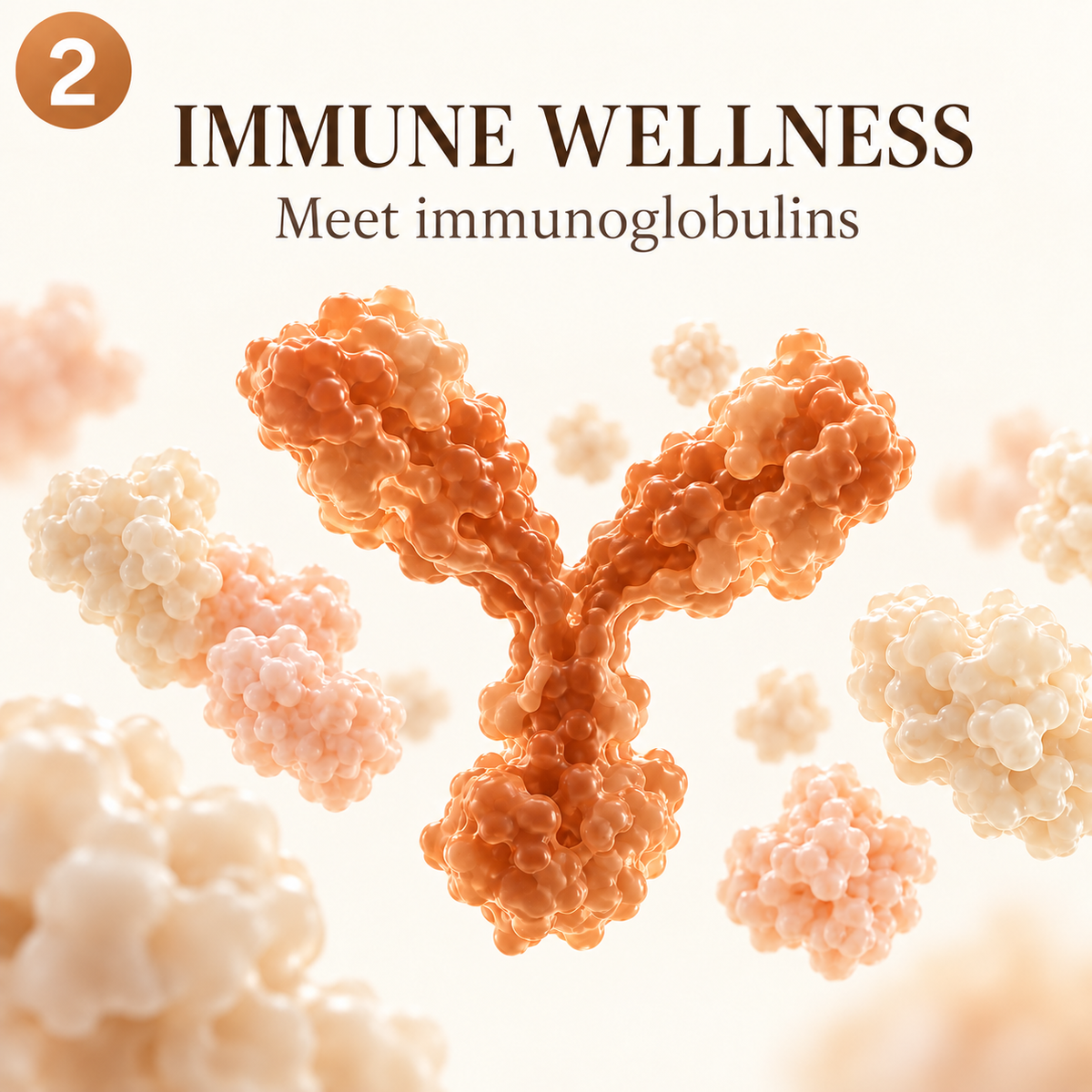 Immune support*