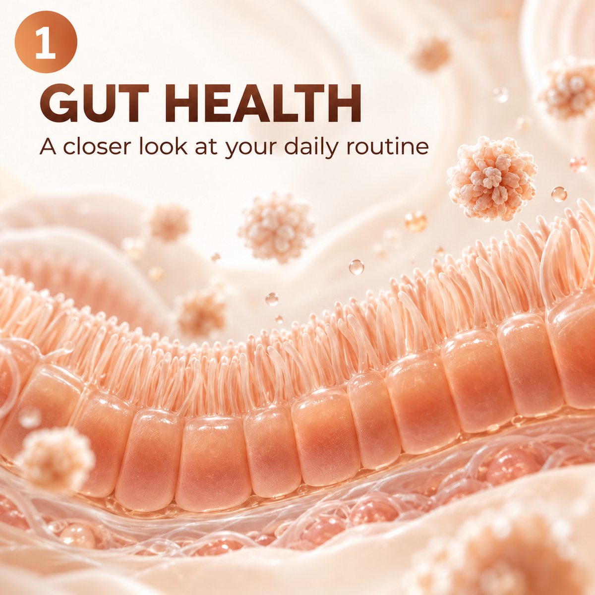 Gut support*